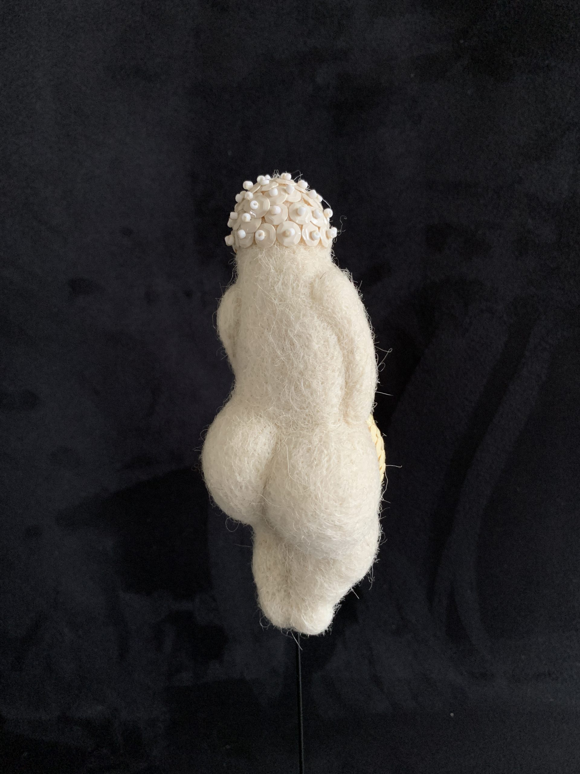 Vénus toute blanche – Image 3