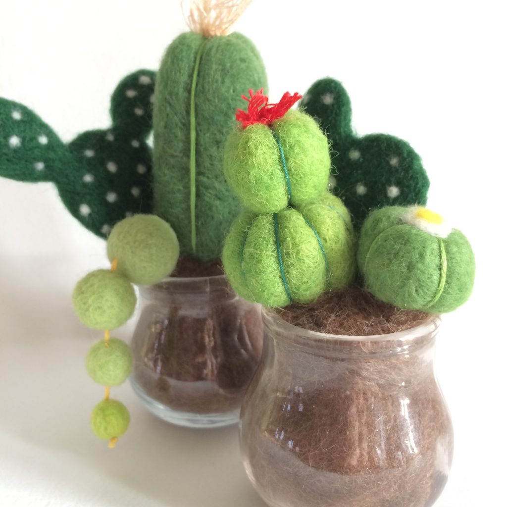 atelier cactus en laine feutrée