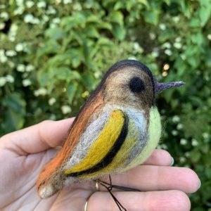 Atelier oiseau en laine feutrée / 40 euros / 11 juillet 2026-14h à 16h30